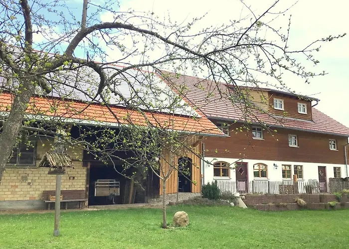 Holstein-hoefle, Rindalphorn *